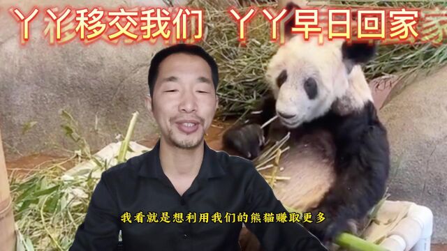 丫丫终于正式的移交我方,其中透露的两个消息,让人听起来非常的别扭