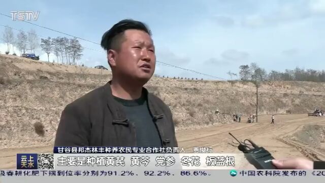 天水:中药材产业开出乡村振兴“良方”