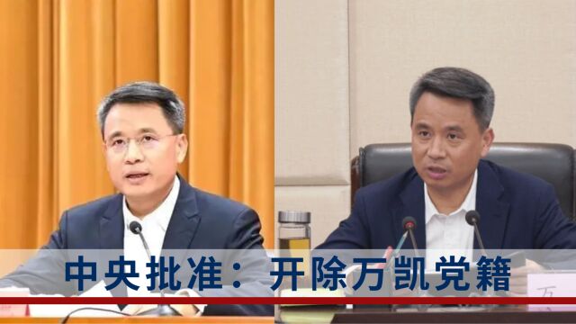 江西赣州市原市长万凯被“双开”