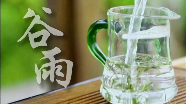 谷雨临近,农家事忙 #二十四节气 #中华传统文化 #谷雨 (配音供稿:刘立新 制作:蔡明硕)