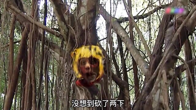 越南小故事:树妖送狗蛋如意神盘和金山羊,从此走上人生巅峰