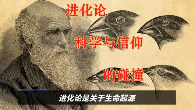 进化论之争:科学与信仰的碰撞