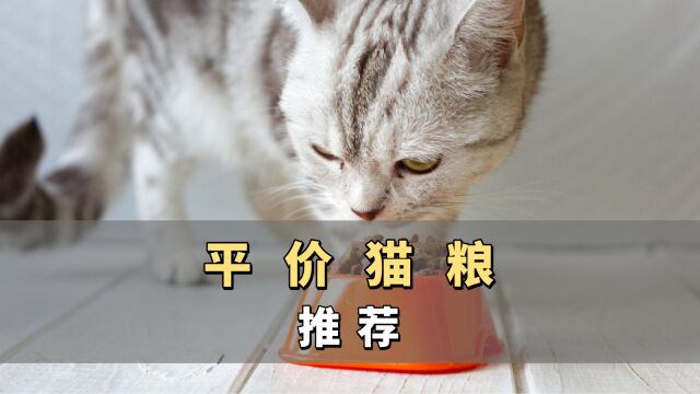 这4款平价猫粮,你再不看可就晚了!