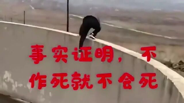 不作不会死