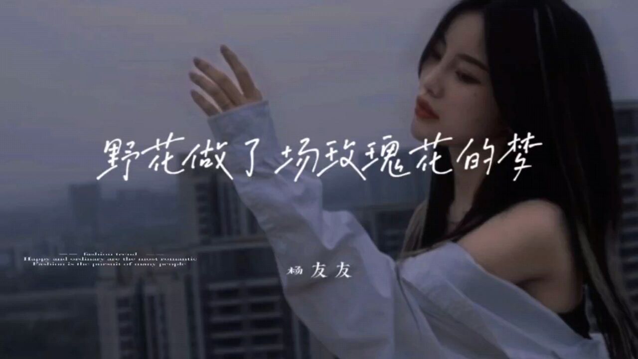 杨友友《野花做了场玫瑰花的梦》