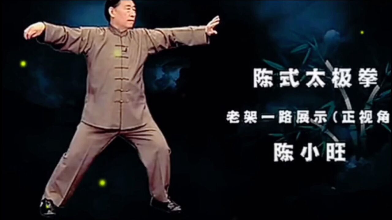 陈小旺师父展示陈氏太极拳老架一路(全套)_高清1080P在线观看平台_腾讯视频