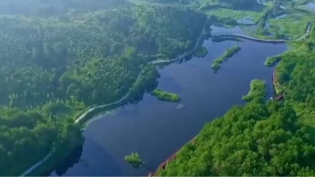 生态环境部:国家级自然保护区人为干扰活动下降