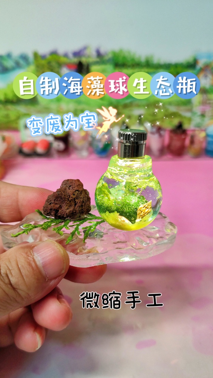 超治愈的微缩海藻球生态瓶,简单到有手就行!
