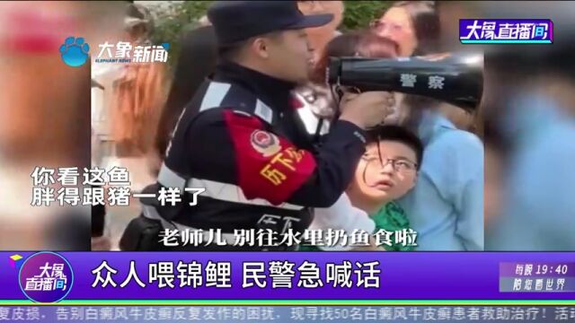 众人喂锦鲤,民警急喊话