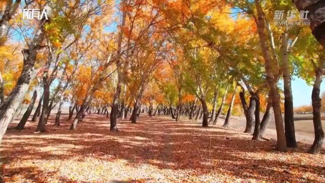 【鸿雁知天下】气温缓慢上升,未来几天巴彦淖尔天气...