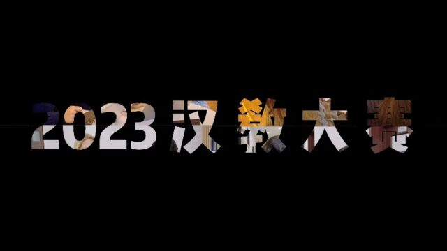 【研究生组4组2号】第六届“中学西渐”杯汉语国际教育综合技能大赛团队合作vcr