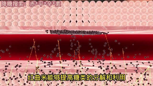 糖尿病的“冤家”被发现了,糖友平时尽量多吃,或稳定血糖不上升