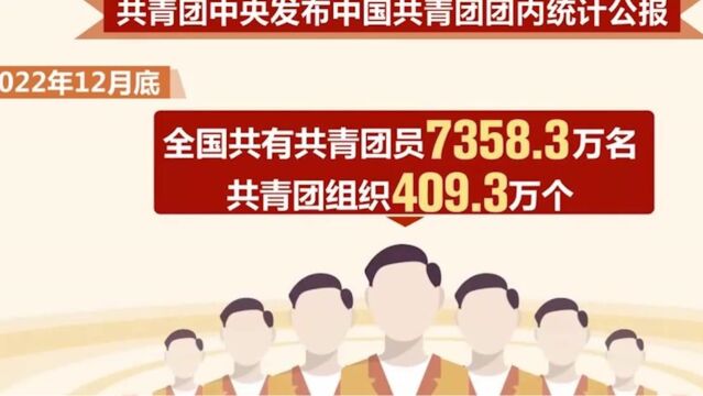 中国共青团团内统计公报发布:全国共有共青团员7358.3万名