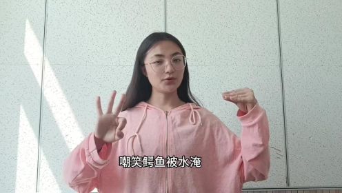 魏嘉彤 中班幼儿手指操 五只小猴荡秋千