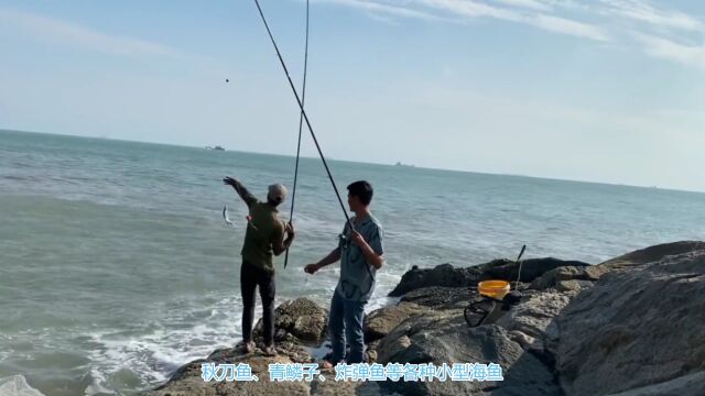 钓海鱼用什么鱼饵效果最好?海钓鱼饵的种类和使用方法