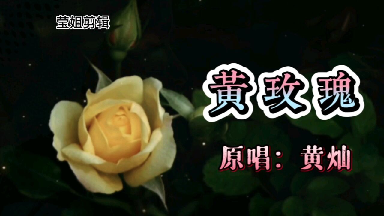 原刀郎乐队主唱黄灿经典歌曲《黄玫瑰》,深情的歌声,唯美动听