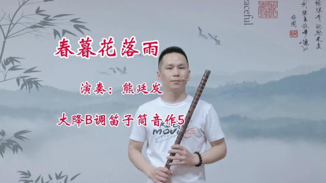 民乐竹笛 #竹笛演奏 #熊廷发笛箫艺术中心 #熊廷发笛子 #春暮花落雨