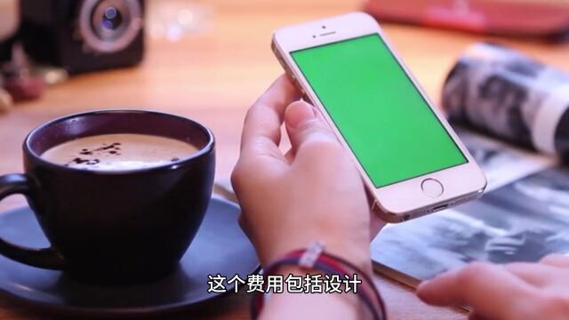 直播交友软件开发:预算制定与风险管理