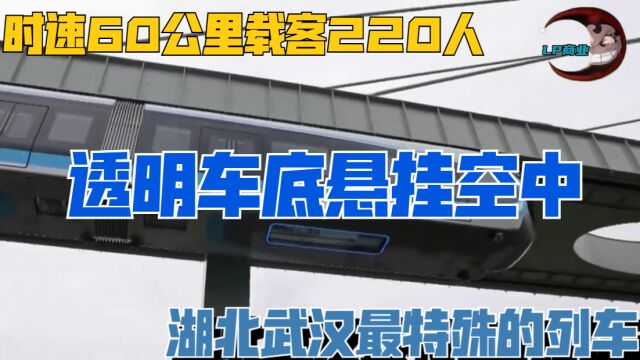 湖北武汉最特殊的列车,透明车底悬挂空中,时速60公里载客220人