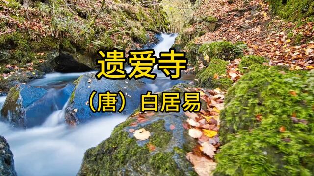 白居易的《遗爱寺》