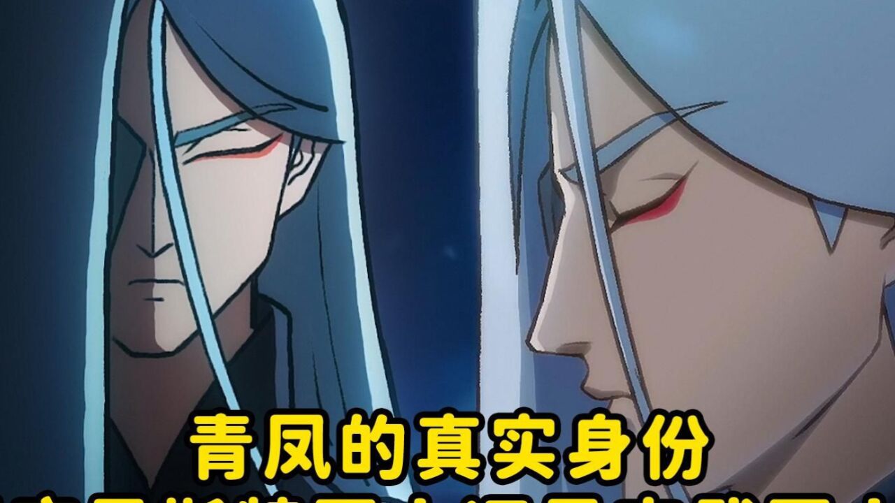 青凤的真实身份,到底是斯特国人还是玄武国人