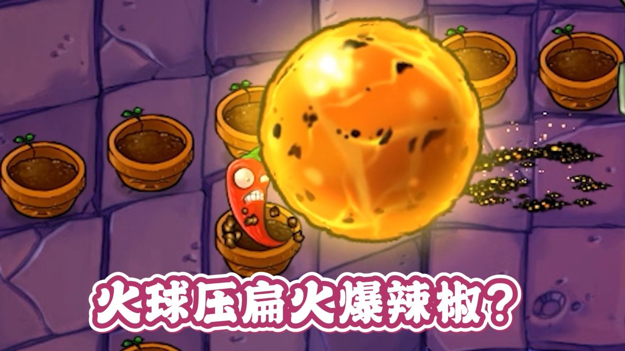 植物大战僵尸:僵王火球能否压扁火爆辣椒?