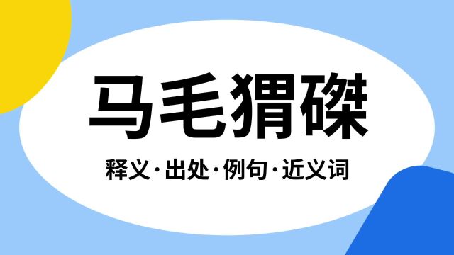 “马毛猬磔”是什么意思?