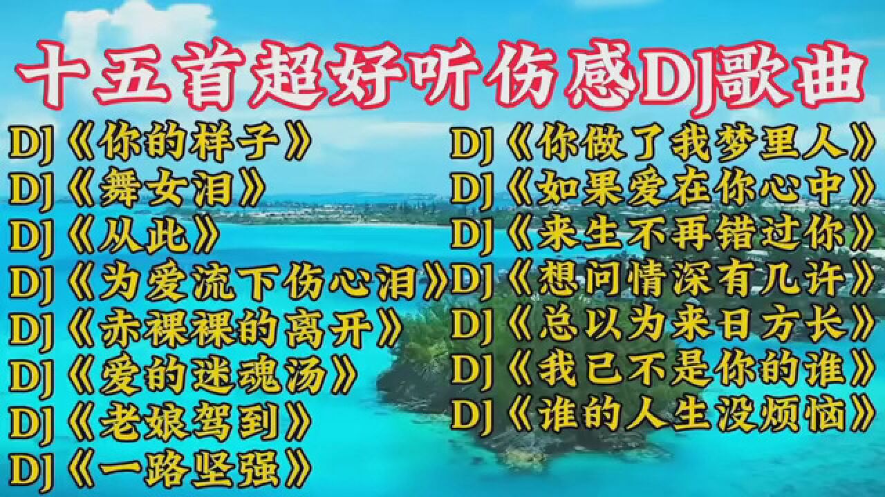 超好听经典老歌合集,热门歌曲串烧dj#车载dj #好听车载重低音劲爆中文