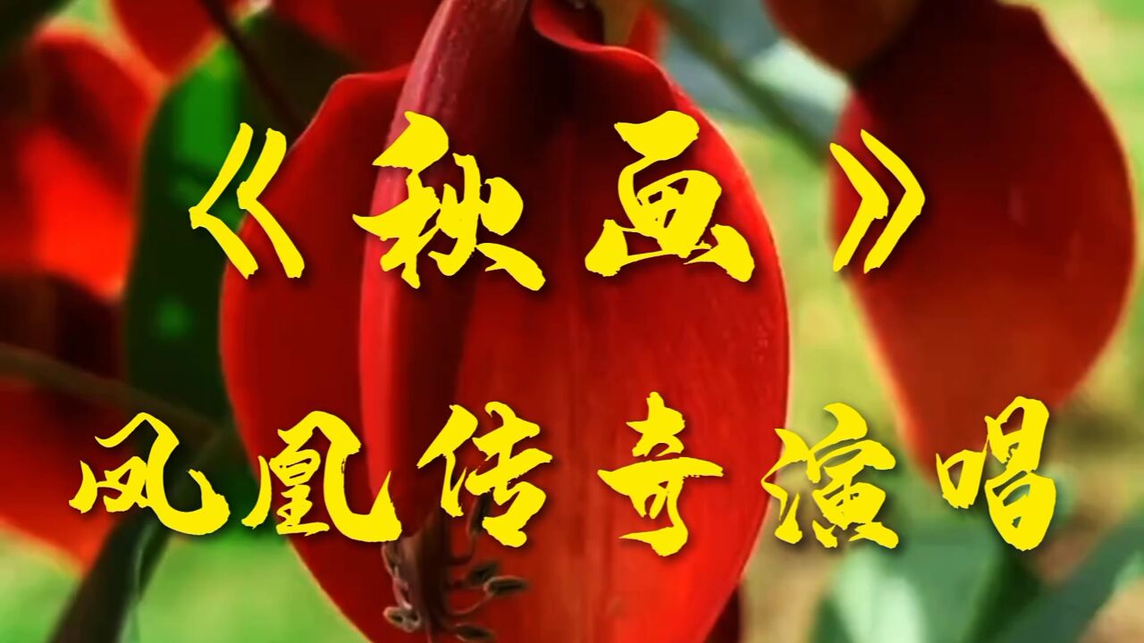 《秋画》凤凰传奇演唱的一首歌