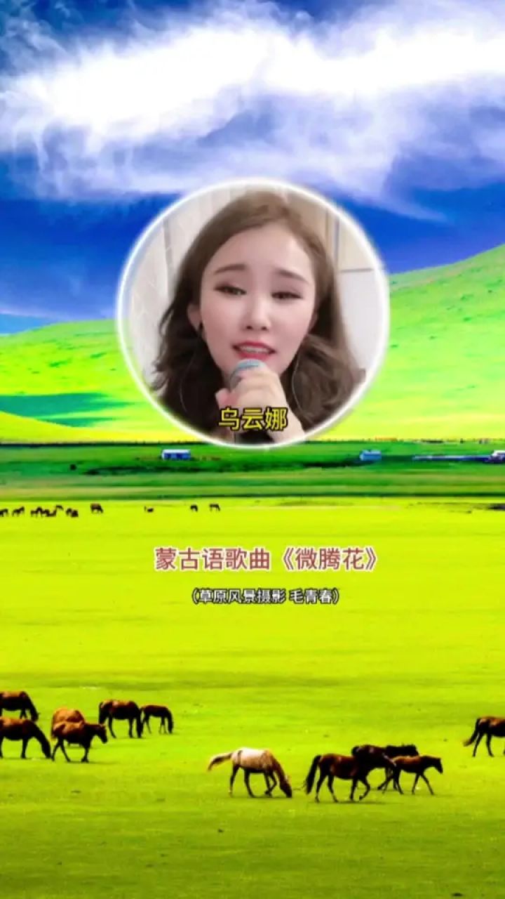 歌曲分享 #微腾花 #蒙古语歌曲 #乌云娜