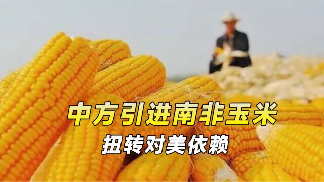 中国找到新突破口,取消美国52吨玉米订单,3个月能省出7亿元