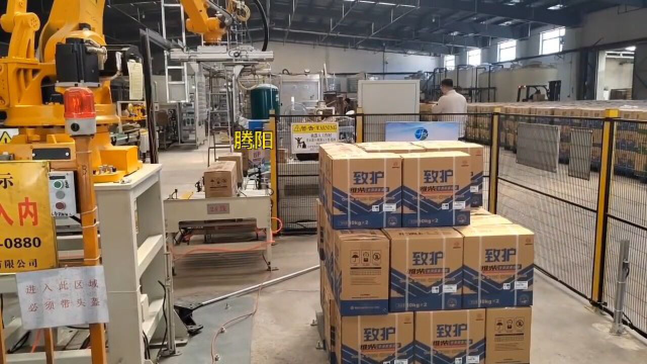 泰安腾阳纸箱码垛机,纸箱纸板码垛