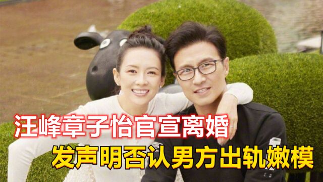 汪峰章子怡官宣离婚,结束八年夫妻生活,发声明否认男方出轨嫩模