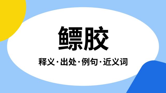 “鳔胶”是什么意思?