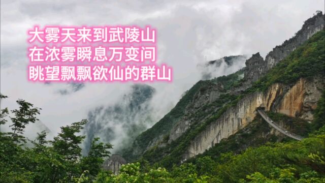 大雾天来到武陵山,在浓雾瞬息万变间,眺望飘飘欲仙的群山,深陷其中.