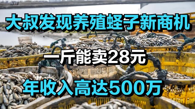 浙江大叔发现养殖蛏子新商机,一斤能卖28元,年收入高达500万!