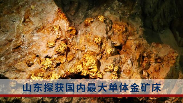 世界级巨型单体金矿床!山东探获580吨金金属