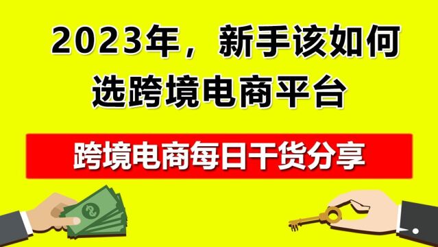 4.2023年,新手该如何选跨境电商平台?