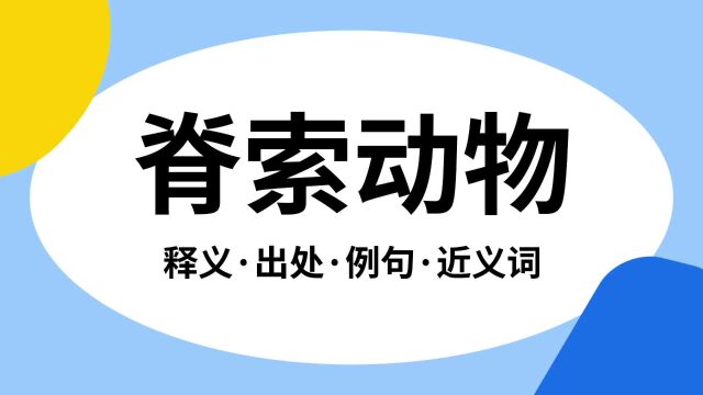 “脊索动物”是什么意思?