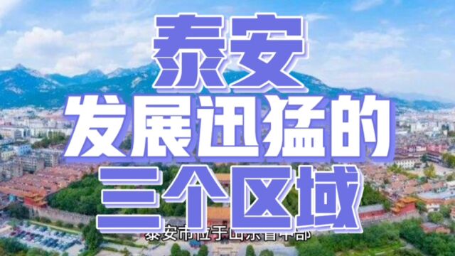 泰安市的这三个区域,近年来在区域经济发展中崭露头角,引人瞩目