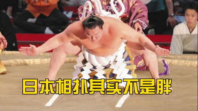 日本相扑,其实并不是胖