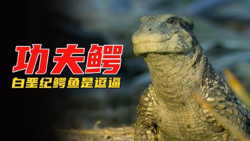 白垩纪时期的鳄鱼不仅长得“不正经”，居然还会武功，恐龙纪录片