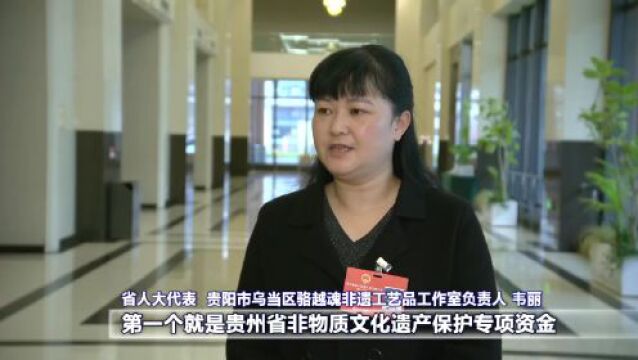 多彩贵州ⷧ 姠𚥥‹进新征程 2023省两会特别报道|人大代表建言献策 履职尽责谋发展