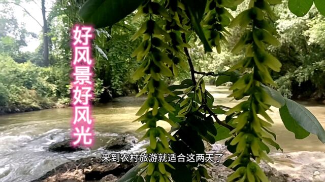 原来这里有这么好的风景,发现的人很少,风景自然