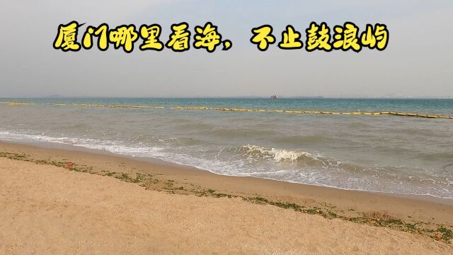 厦门四面环海,海洋资源丰富.看海不止去鼓浪屿,滨海大道免费看海,早上还可以在这里赶海.从岛外去岛内就会看到这里.