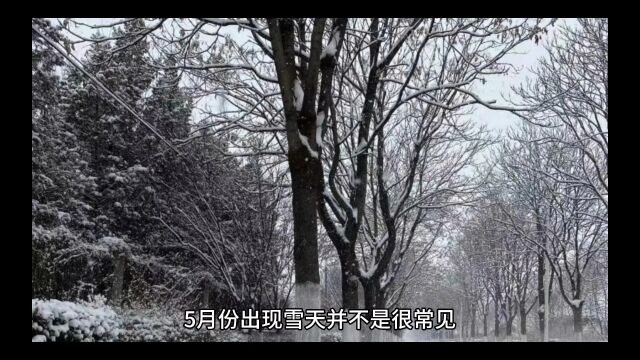 全国多地5月飘雪,5月飘雪意味着什么?