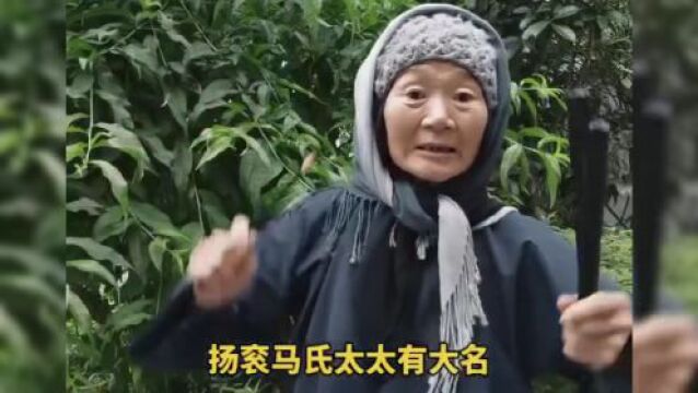 河南坠子《杨宗英下山》下