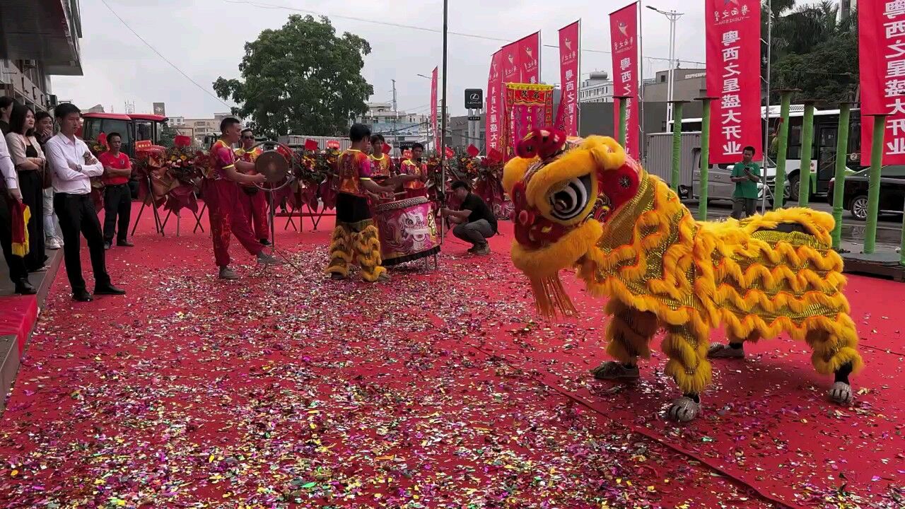 非物质文化遗产舞狮_高清1080P在线观看平台_腾讯视频
