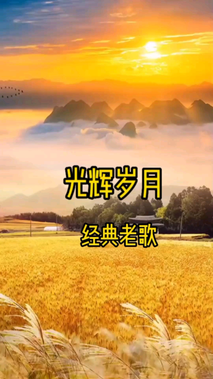 经典老歌流行歌曲-光辉岁月