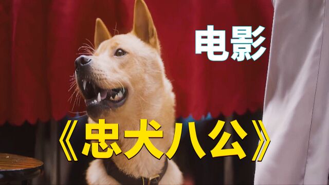 电影《忠犬八公》